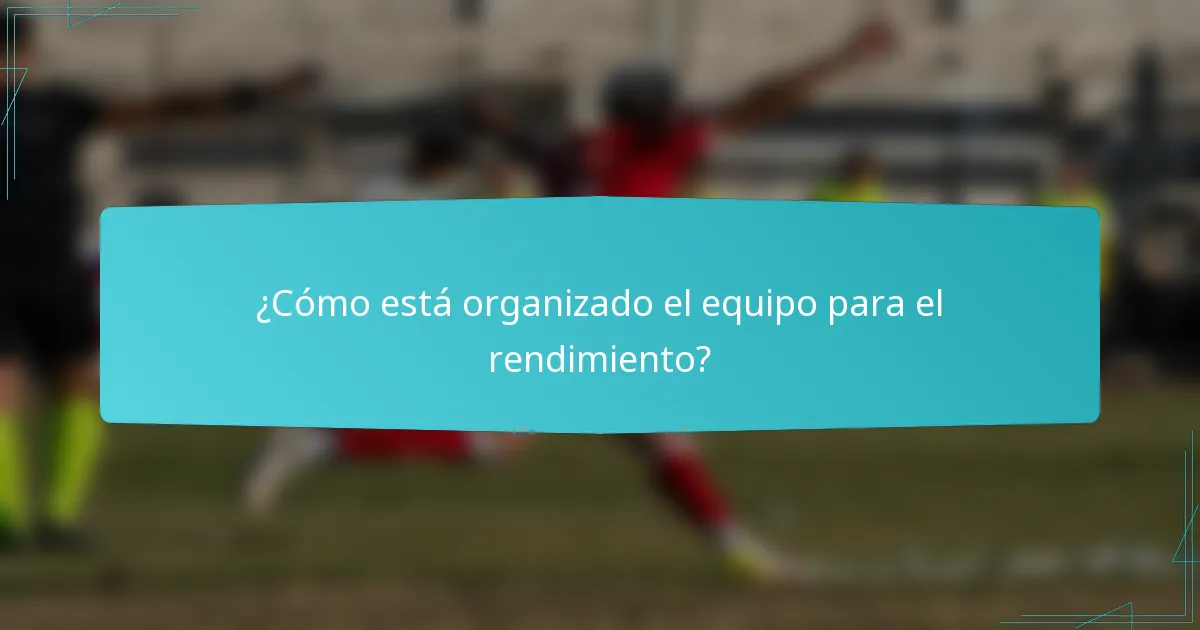 ¿Cómo está organizado el equipo para el rendimiento?