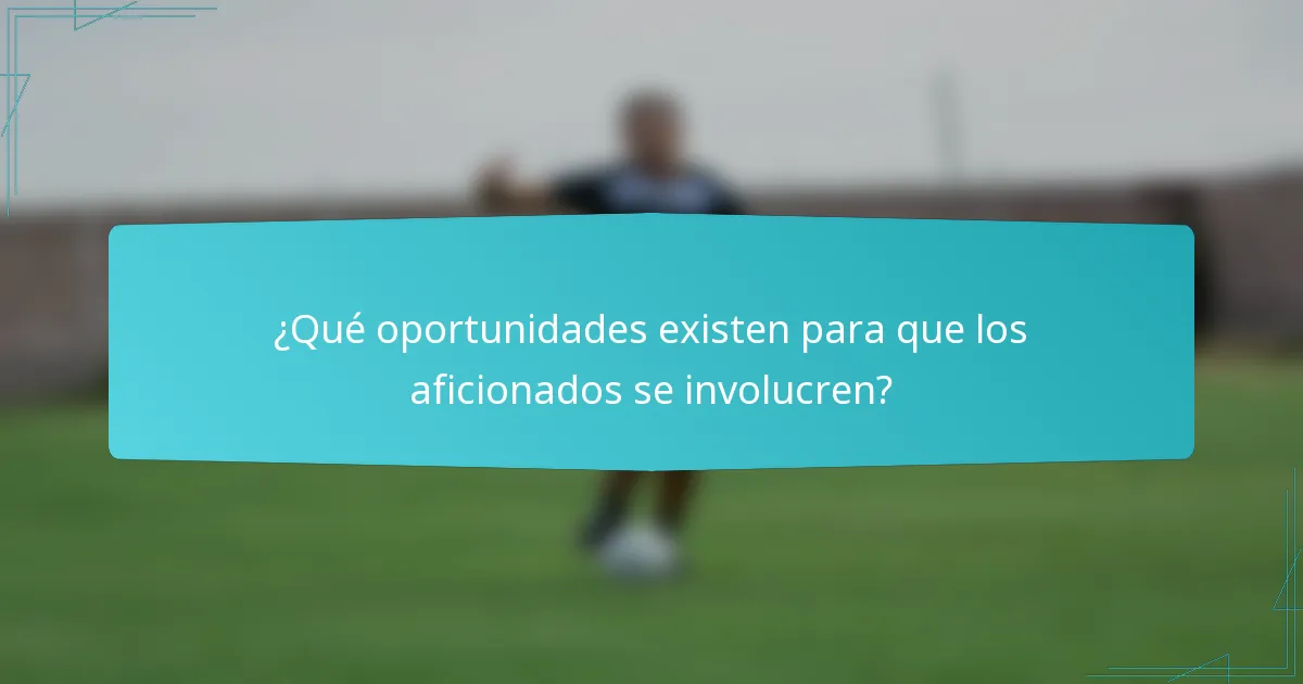 ¿Qué oportunidades existen para que los aficionados se involucren?